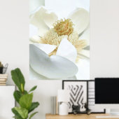 Poster Floraison de magnolia (Bureau à domicile)