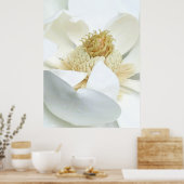 Poster Floraison de magnolia (Cuisine)