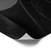 Poster Floraison de magnolia en noir et blanc (Coin)