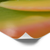 Poster Floraison émeraude : le joyau liquide de la nature (Coin)