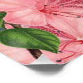 Poster floral (Coin)