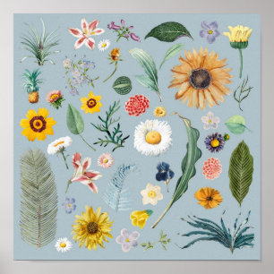 Poster Floral