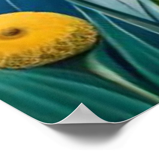 Poster FLoral (Coin)