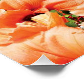 Poster floral (Coin)