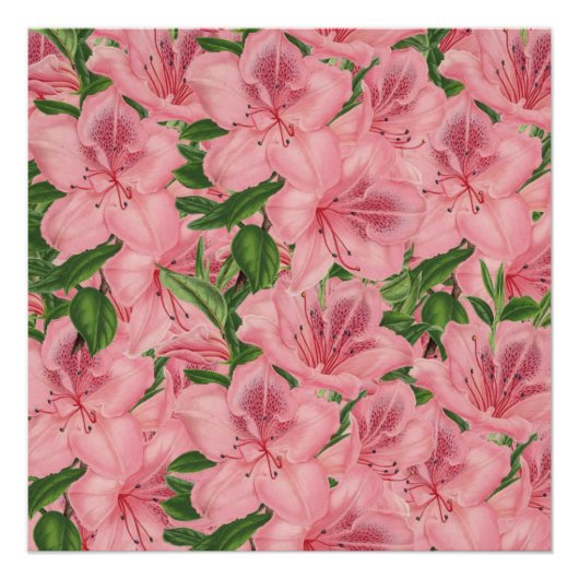 Poster floral (Devant)