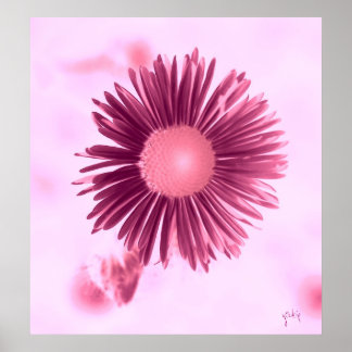 Poster floral