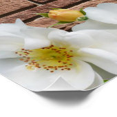Poster floral (Coin)