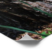 Poster floral - 1 (Coin)