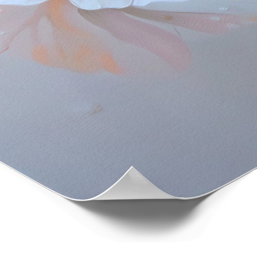 Poster Floral 1377 (Coin)