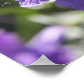 Poster floral avec verset biblique sur l'espérance (Coin)