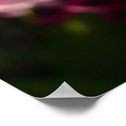 Poster Floral Blue Hyacinth (Coin)