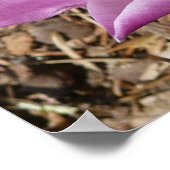 Poster Floral de Pink (Coin)