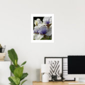 Poster Floral d'Iris blanc et violet (Bureau à domicile)