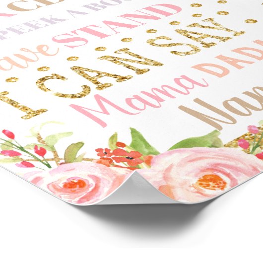 Poster Floral Fairy 1er anniversaire Jalon Naissance Stat (Coin)