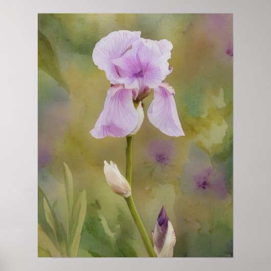 Poster Floral Fleur de Jardin d'Iris Violet (Devant)