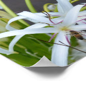 Poster Floral Fragrance (Coin)