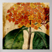 Poster Floral I (Devant)