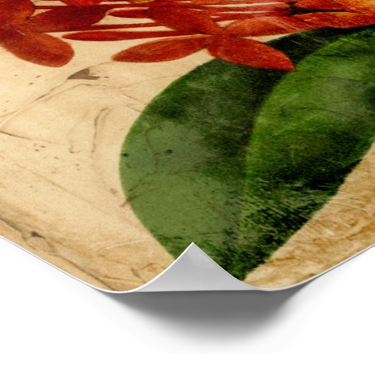 Poster Floral III (Coin)