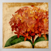 Poster Floral III (Devant)