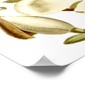 Poster Floral Magnolias Blanc Imprimer (Coin)