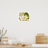 Poster Floral Magnolias Blanc Imprimer (Cuisine)