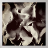 Poster Floral noir et blanc Abstrait (Devant)