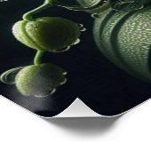 Poster Floral Orchidée blanche (Coin)