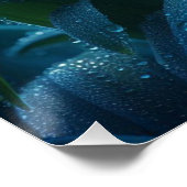 Poster Floral orchidée bleue (Coin)