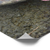 Poster Floral prendre racine croissance florale (Coin)