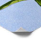 Poster Floral Pretty Rose Peony Art (Coin)