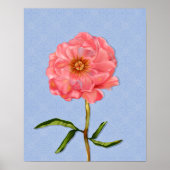 Poster Floral Pretty Rose Peony Art (Devant)