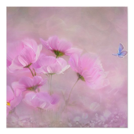 Poster Floral rose (Devant)