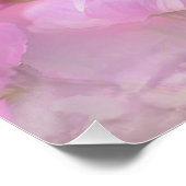 Poster Floral rose (Coin)