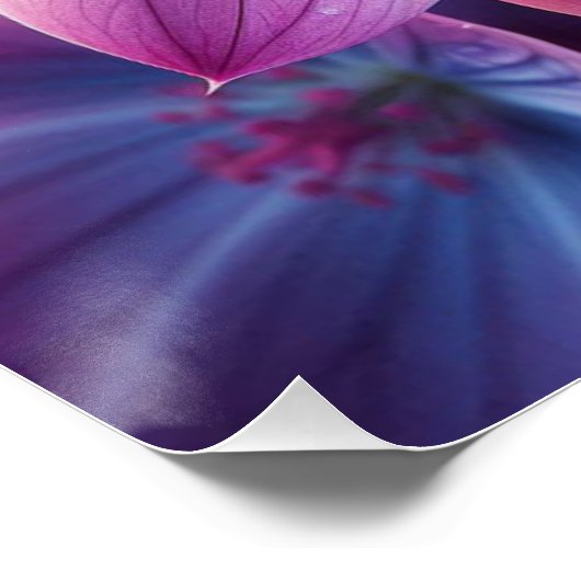 Poster Floral rose et violet Lilac (Coin)