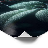 Poster Floral Rose noir (Coin)