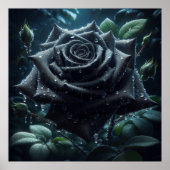 Poster Floral Rose noir (Devant)