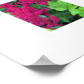 Poster Floral rose profond (Coin)