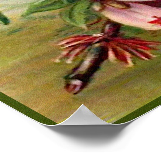 Poster Floral rose vintage (Coin)