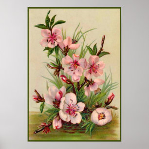 Poster Floral rose vintage
