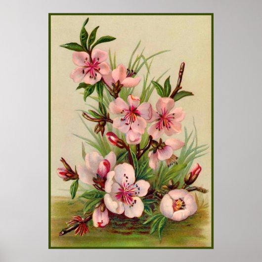 Poster Floral rose vintage (Devant)