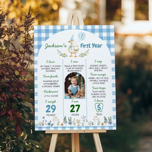 Poster Floral Silly Goose Milestone Photo