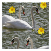 Poster floral Swan (Devant)