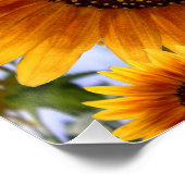 Poster floral Tournesol (Coin)