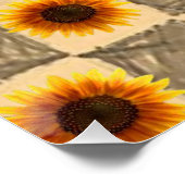 Poster floral Tournesol (Coin)