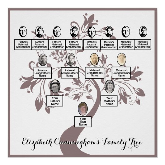 Poster Floral Tree Plum Silhouette Family Tree Photos (Devant)