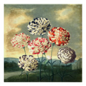 Poster Floral vintage (Devant)