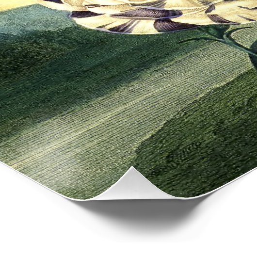 Poster Floral vintage (Coin)