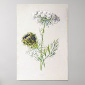 Poster Floral vintage (Devant)