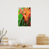 Poster Florales d'Heliconia Tropical (Cuisine)