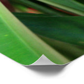 Poster Florales d'Heliconia Tropical (Coin)